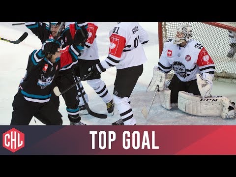 Andrew Kozek - Black Wings Linz | Top Goal 2015/16