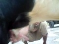 Click here to watch this video pelecehan seksual.MP4