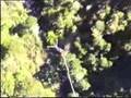 Bungee (Bungy) South Africa Bloukrans Bridge 216m / 708 ft