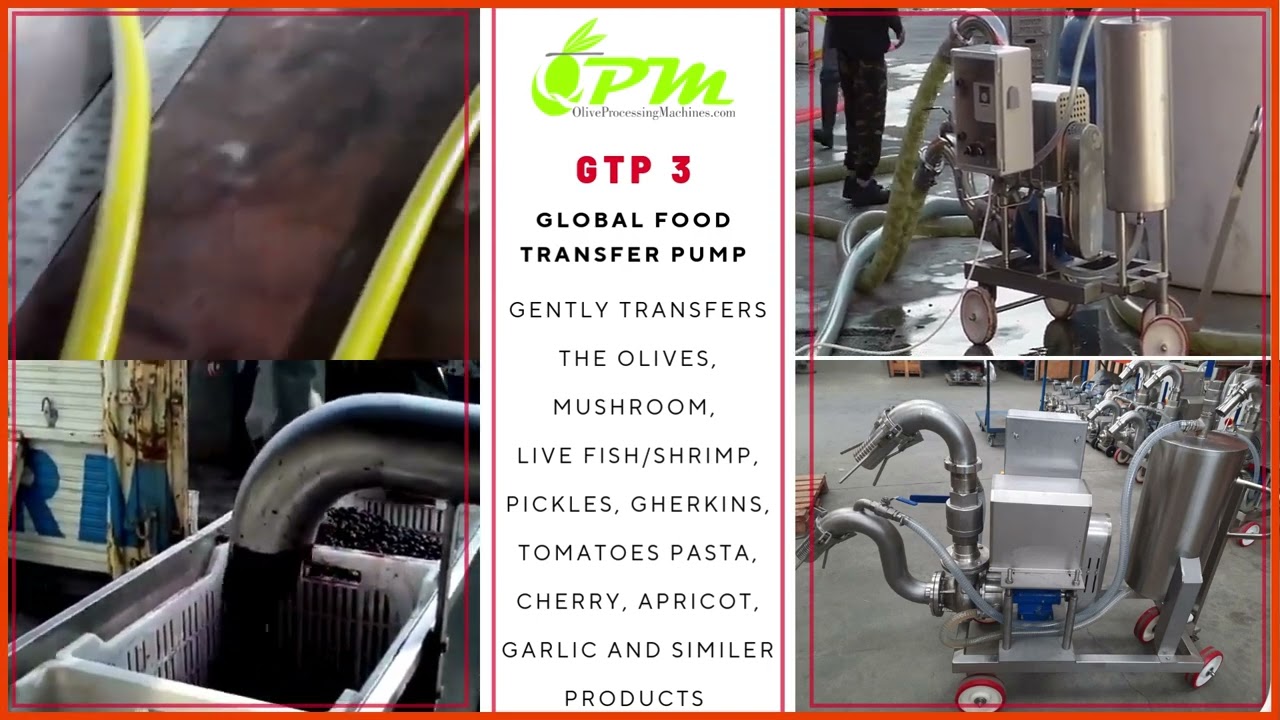 food transfer pumps