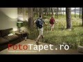 Modele Fototapet Personalizat - Tipuri de Fototape ..