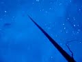 Spearing Green Jobfish in the Coral Sea