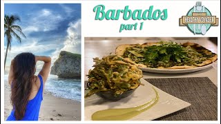 The Healthy Voyager Barbados Part 1