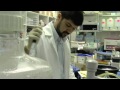 Click here to watch this video THE MOSQUE IN MORGANTOWN | Women Make Movies | Trailer
