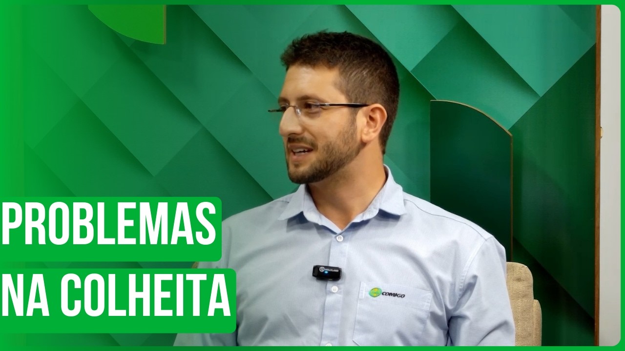 Prejuízos nos grãos