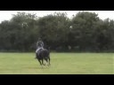 3.3ft XC mini course