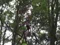 Bedrijsfilm test