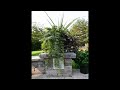 Outdoor Speaker Placement by Digital Home Technologies
