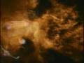 videos de WdT Video-Preview