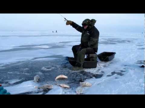 ловля окуня в заливе видео ловля окуня в заливе видео