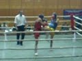 Muay Thai Bulgaria Muay Thai Bulgaria