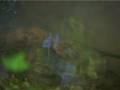 Il Fosso del Mandrione - Seconda Parte (2/2)