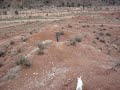Virgin Utah