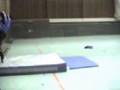 wallflip training