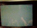 tekken-5-dr-erdalista-christie-vs-adamyte-eddy-bo3.html