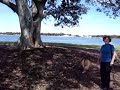 A Pitlad,s Day Out in Mandurah Western Australia