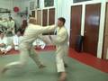 videos de Zenbu Ryu Jujutsu: Yellow Belt Exam - Chris Ferrara (Part 4/4)