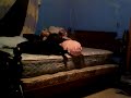 Movie 144.mov