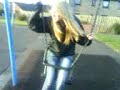 Amy On The Swing Amy On The Swing