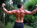 VENDETA MUSCLES