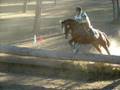 2006 Warwick FEI Eventing World Cup Qualifier