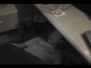 www.youtube.com