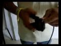 Armado de un Cable Coaxial