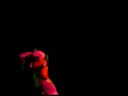 gaudre  move 1-av-proju1-da-lu.avi