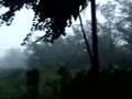 Tropical Storm Fengshen at Cheung Chau