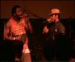 Pannonia Allstars Ska Orchestra - Live Freestyle