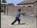 chinese kungfu????1