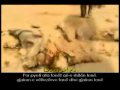 Te Shkatrruan O Bagdad  Ù‚ØªÙ„ÙˆÙƒ ÙŠØ§ Ø¨ØºØ¯Ø§Ø¯ 