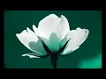 Moody Blues - Nights in White Satin
