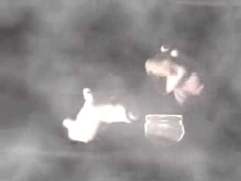 The Scottish Play (Macbeth) Scottish ...