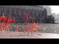 Shaolin Wushu Demonstration