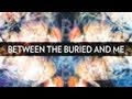 Between the Buried and Me Specular Reflection OFFICIAL SONG CLIP