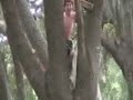 My Rope swing