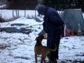 DARCANE BOXER EDUCATION