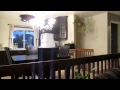 A compilation of hilarious cat fail vids