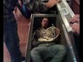 alceo Zampa Elkhoof Horn-In-A-Box