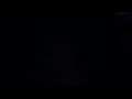 Tom Berenger - \"Love at Large\" clip #1 Anne Archer