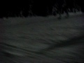 Carl Skiing Backwards At Grouse Mountain, Vancouver BC Carl Skiing Backwards At Grouse Mountain, Vancouver BC