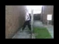 funny vid