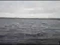 Wave (video)