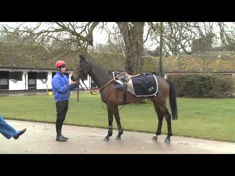 horse racing cheltenham