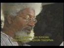 Plumas en alquiler (Wole Soyinka, Nigeria)