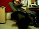 First video with new Digicam