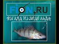 Взгляд из подо льда: мормышка. Анонс.