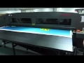 Video Image