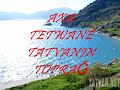 ??TE B?L?NMEYEN VANG�L� TATVAN